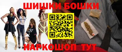 шишки Партизанск