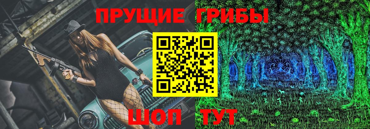 Пушкино  Псилоцибиновые грибы мицелий  Вход с VPN 