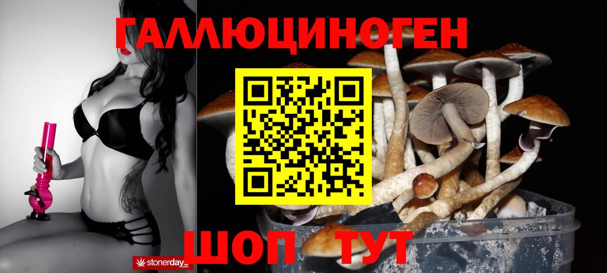 Галлюциногенные грибы мицелий Пушкино